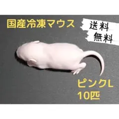 2026年最新】冷凍マウスの人気アイテム - メルカリ
