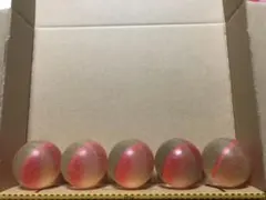 2026年最新】フォーチュントリニティオーブの人気アイテム - メルカリ