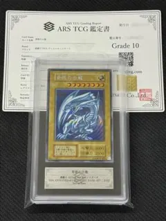 2026年最新】青眼の白龍 レリーフ ars10の人気アイテム - メルカリ
