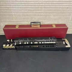 2026年最新】大正琴 白鷺の人気アイテム - メルカリ