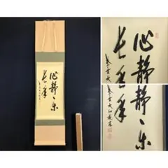 2026年最新】心静楽長年の人気アイテム - メルカリ