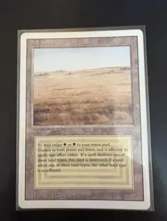 2026年最新】サバンナ mtgの人気アイテム - メルカリ