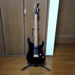 2026年最新】fernandes sshの人気アイテム - メルカリ