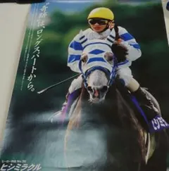 2026年最新】ヒシミラクル ヒーロー列伝の人気アイテム - メルカリ