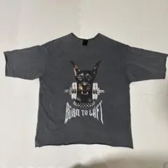 2026年最新】LYFT tシャツ ドーベルマンの人気アイテム - メルカリ