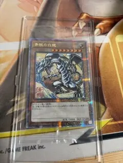 2026年最新】青眼の白龍 25th 未開封の人気アイテム - メルカリ