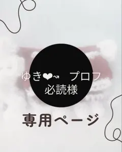 2026年最新】プロフ必読の人気アイテム - メルカリ