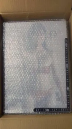 2026年最新】豊田ルナ パネルの人気アイテム - メルカリ