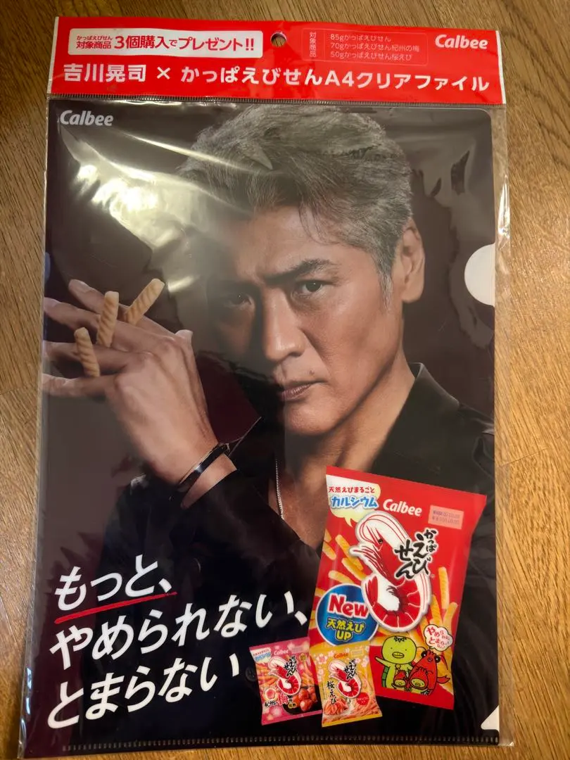 2026年最新】吉川晃司 クリアファイルの人気アイテム - メルカリ