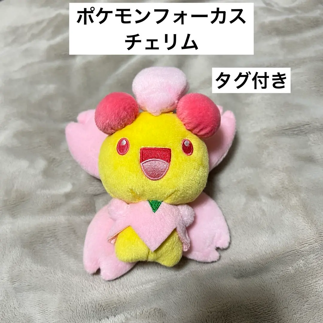 2026年最新】チェリム ぬいぐるみの人気アイテム - メルカリ