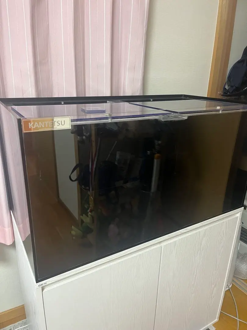 2026年最新】カンテツ水槽の人気アイテム - メルカリ