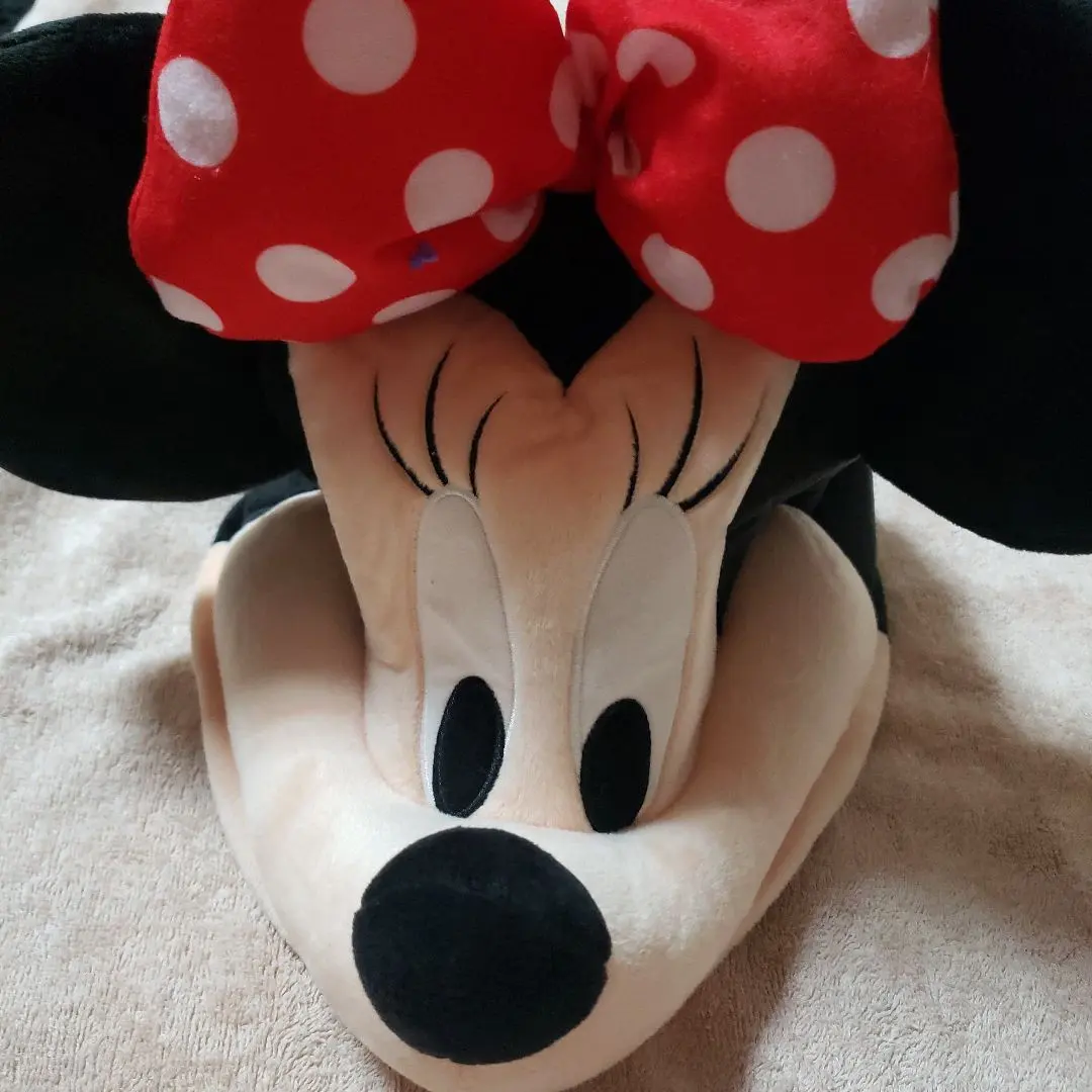 2026年最新】東京ディズニーリゾート 作品名：ミッキー&フレンズ