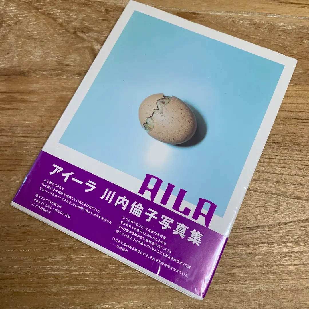 絶版】 川内倫子 AILA アイーラ写真集初版 【希少品】川内倫子 写真集