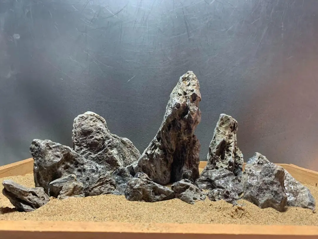 2026年最新】龍王石 親石の人気アイテム - メルカリ