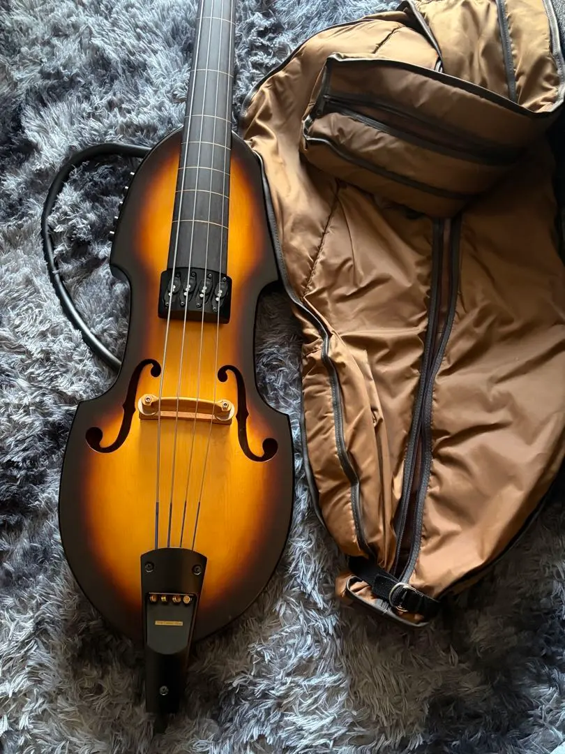 2026年最新】ARIA SWB-04の人気アイテム - メルカリ