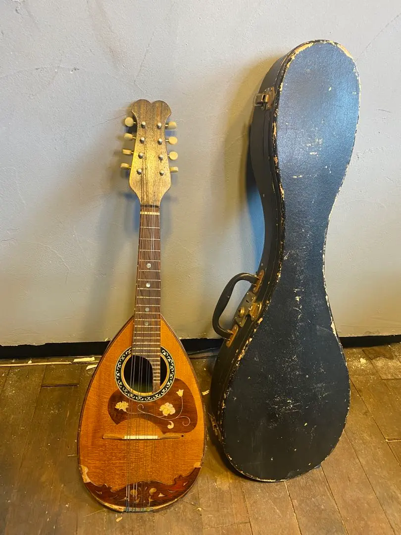 2026年最新】国島 マンドリンの人気アイテム - メルカリ