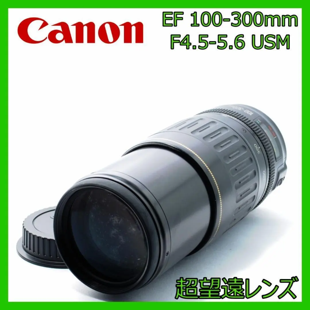 2026年最新】EF 100-300mm F5.6 Lの人気アイテム - メルカリ