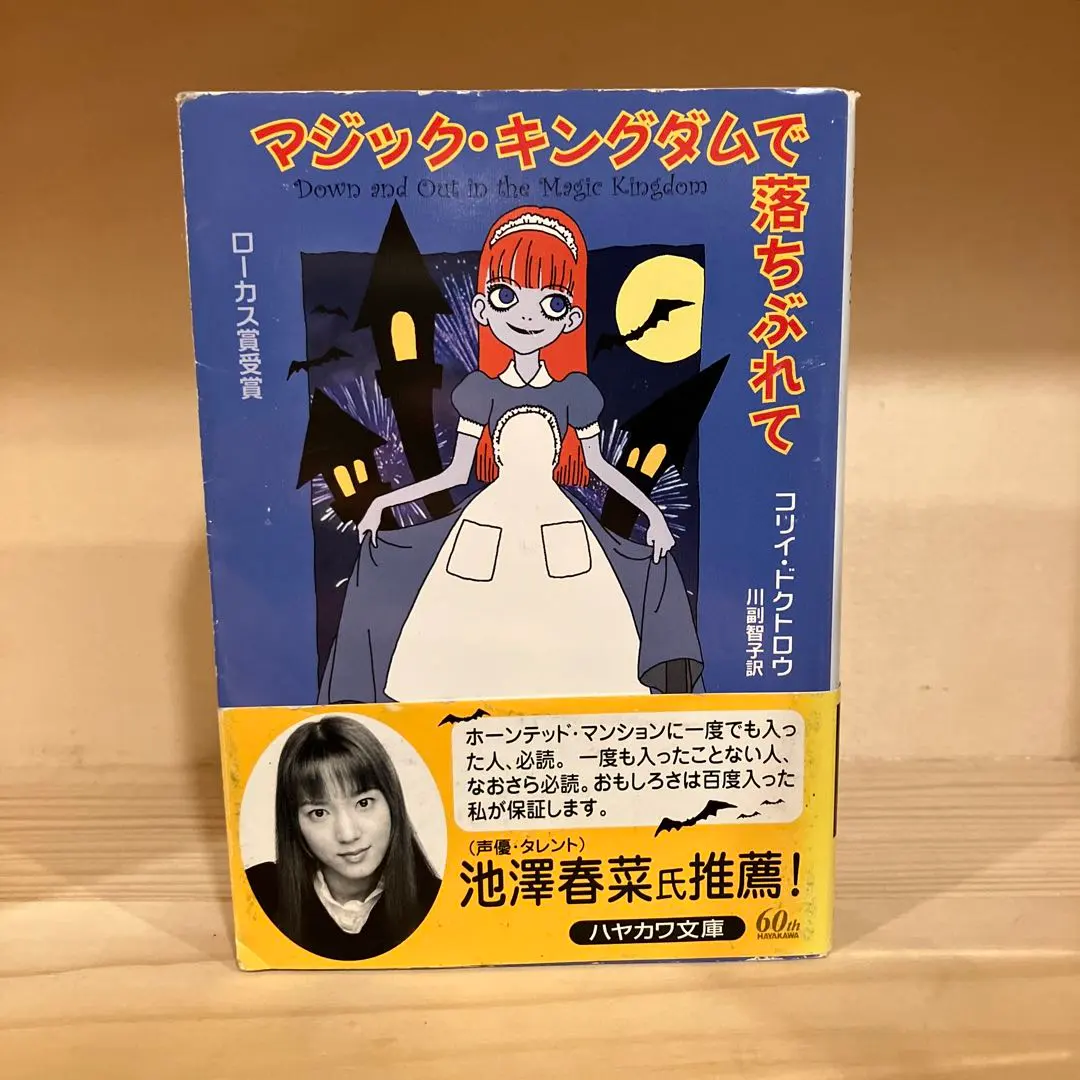 マジック・キングダムで落ちぶれて マジック・キングダムで落ちぶれて
