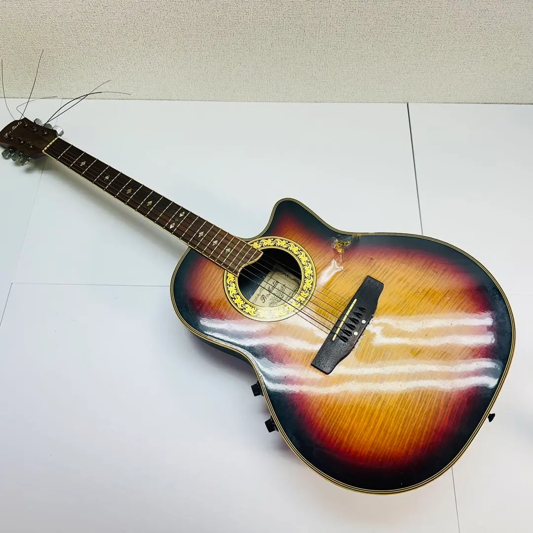 2026年最新】エレアコ pro martinの人気アイテム - メルカリ