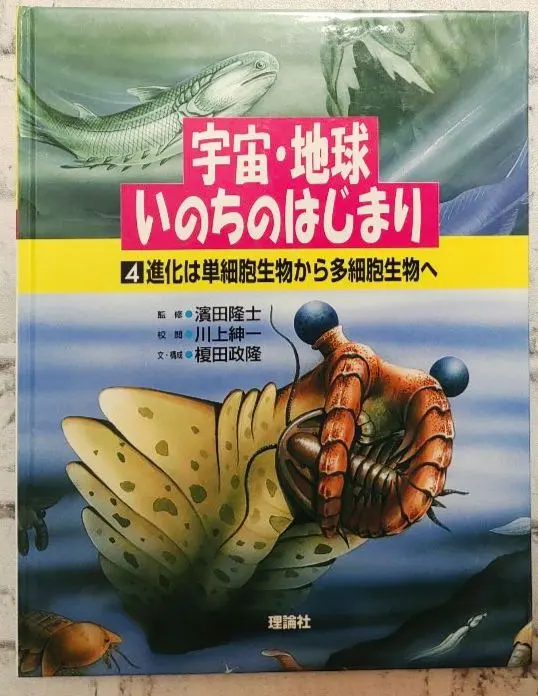 巨大なアノマロカリスの化石 美麗 関山動物群 本物保証