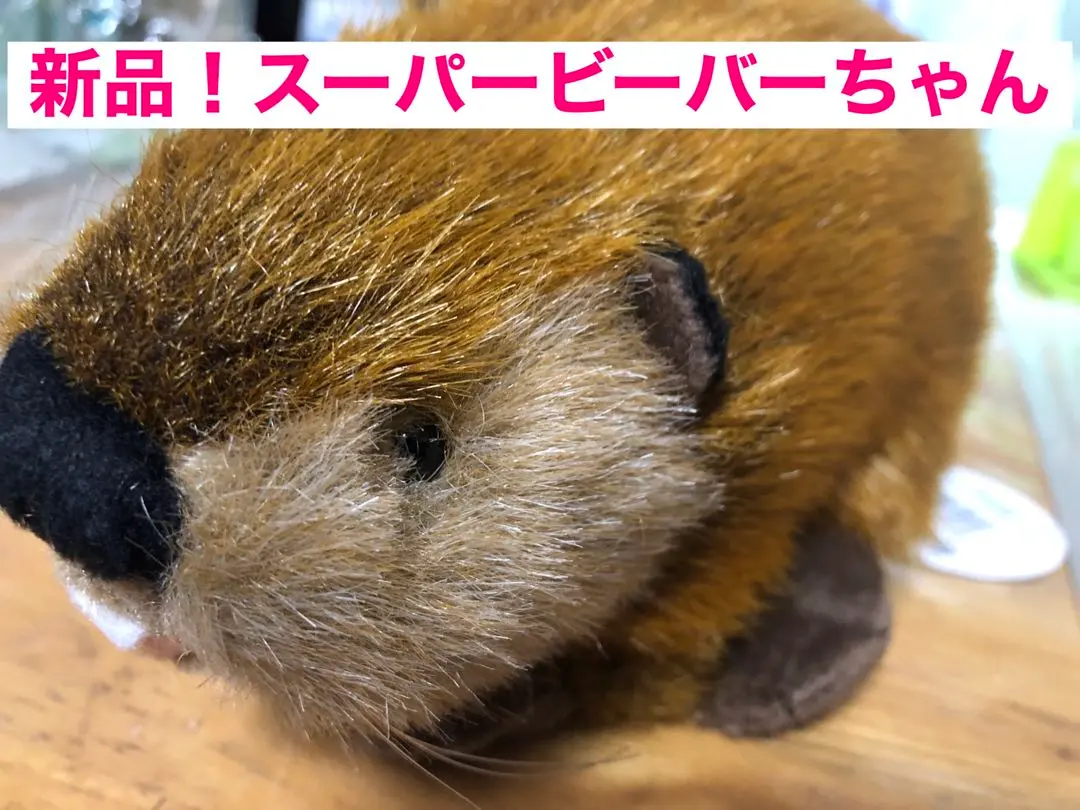 2025年最新】SUPERBEAVER×吉徳の人気アイテム - メルカリ SUPER BEAVER