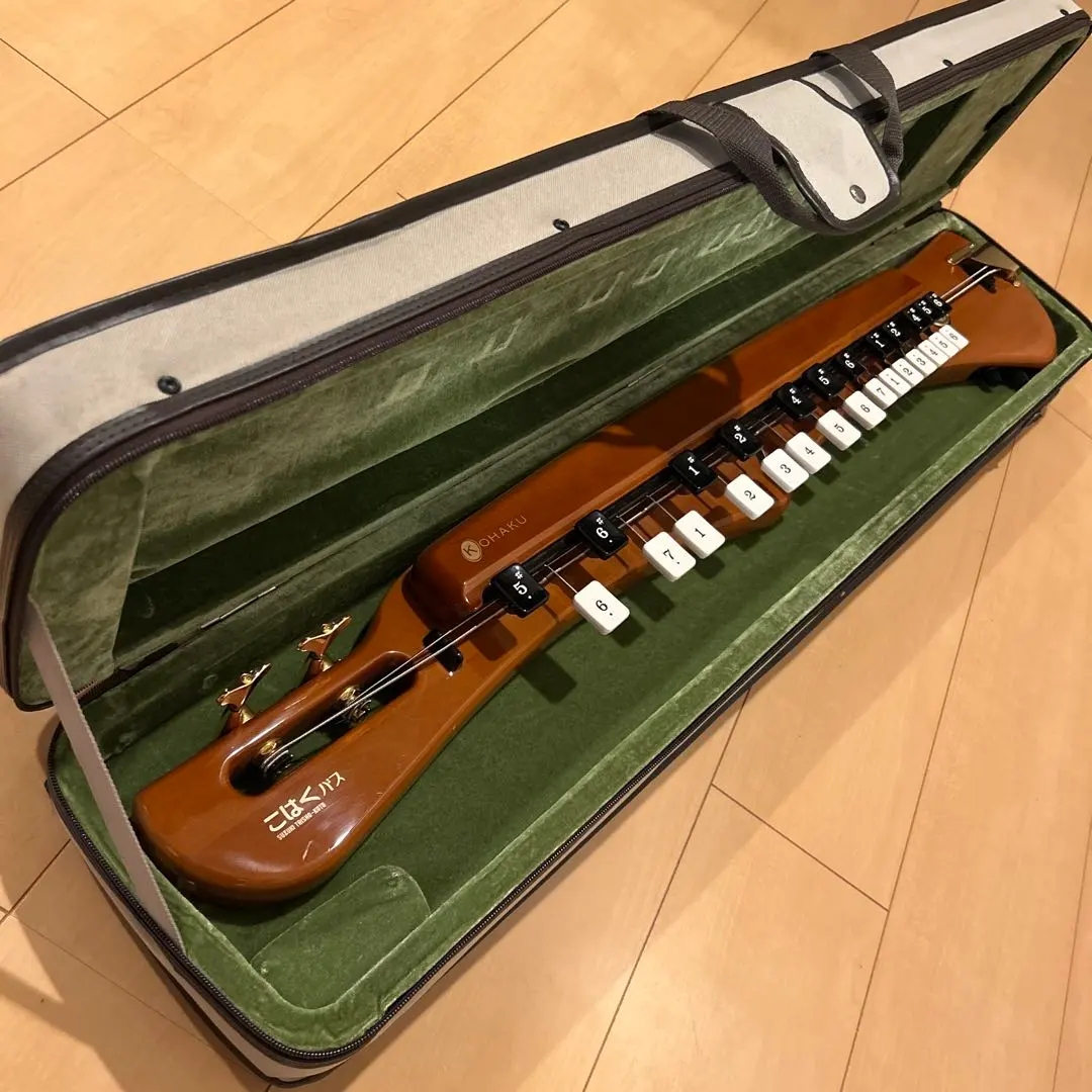 2026年最新】大正琴 こはくの人気アイテム - メルカリ