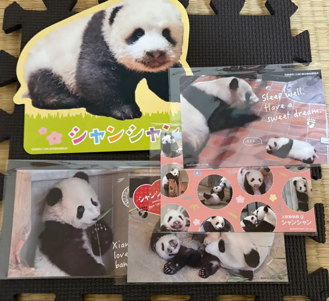2026年最新】シャンシャン ポストカードブックの人気アイテム - メルカリ