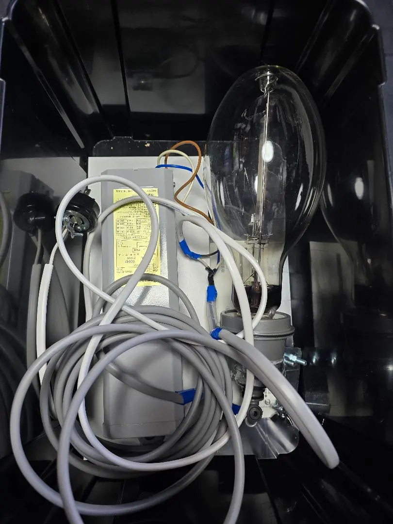 2026年最新】灯火採集 水銀灯の人気アイテム - メルカリ