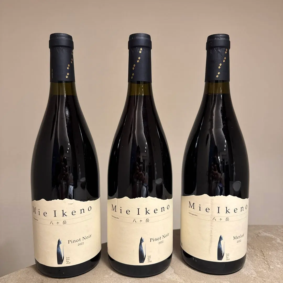 2026年最新】ミエイケノ メルローの人気アイテム - メルカリ