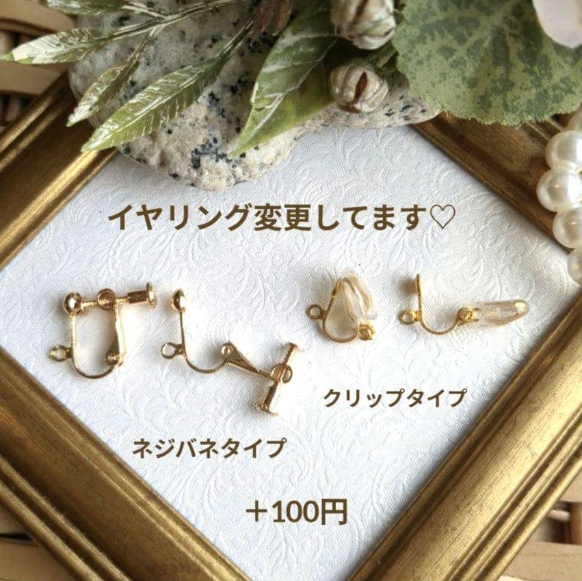 りな様 リクエスト 9点 まとめ商品 ネジバネタイプ*イヤリング - メルカリ