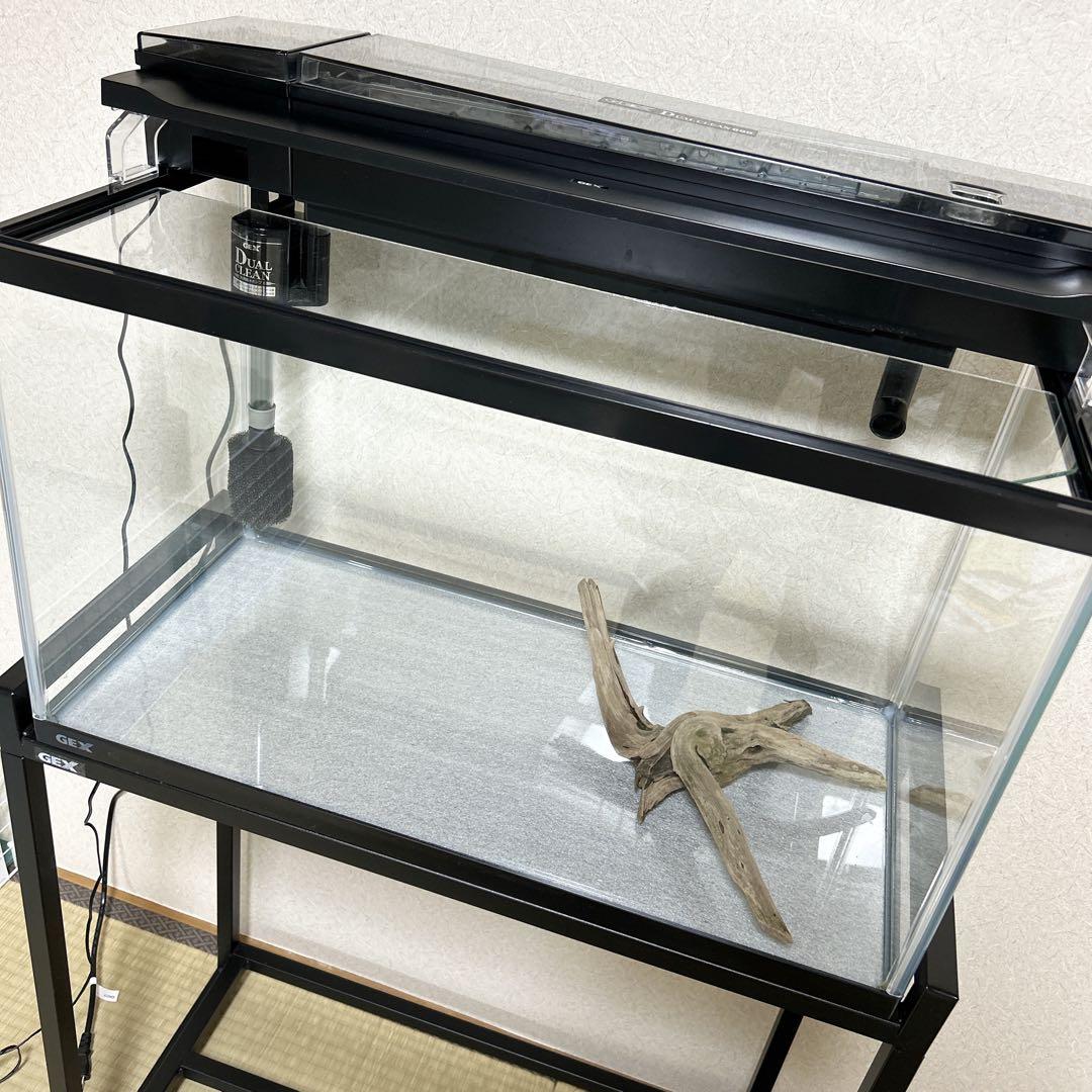直接引取り限定GEXガラス水槽セット