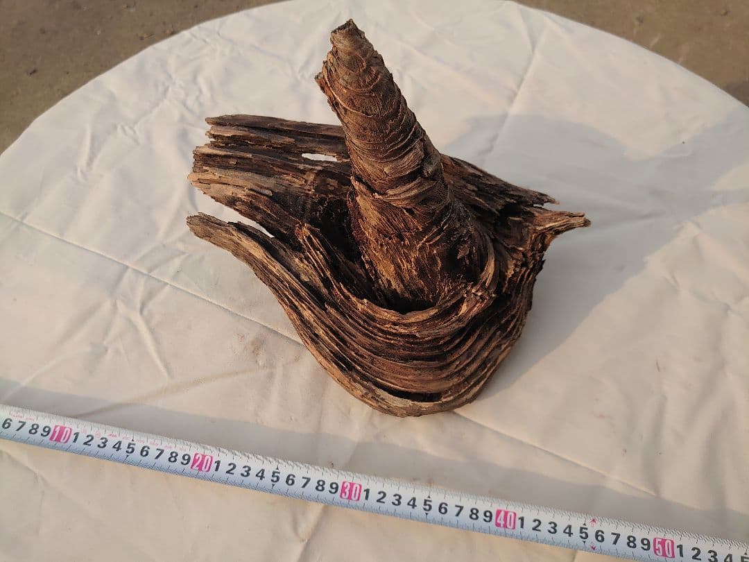 アクアリウム・テラリウム向き流木枯木