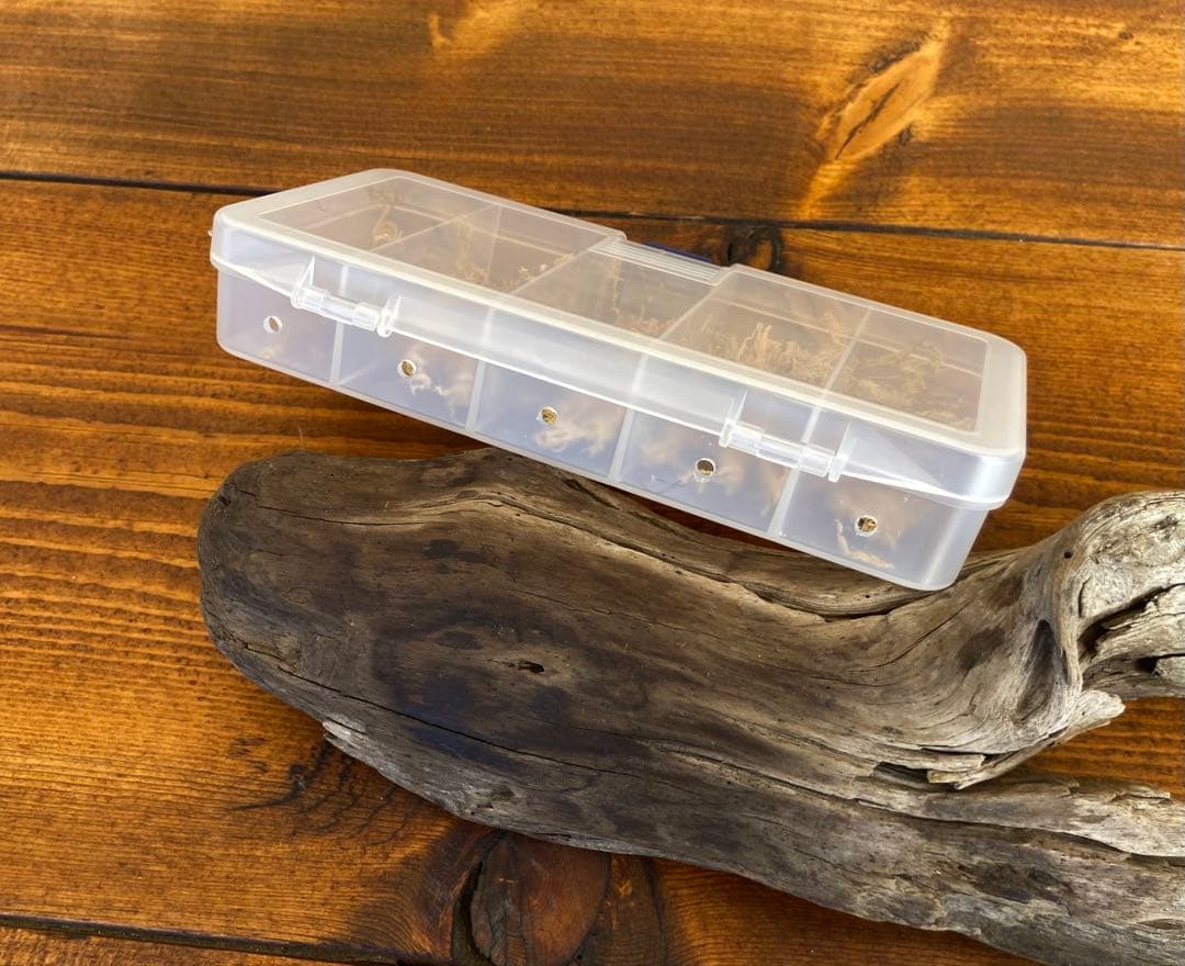 クワガタ採集セット オリジナル掻き出し棒 デジタルノギス 採集ケース