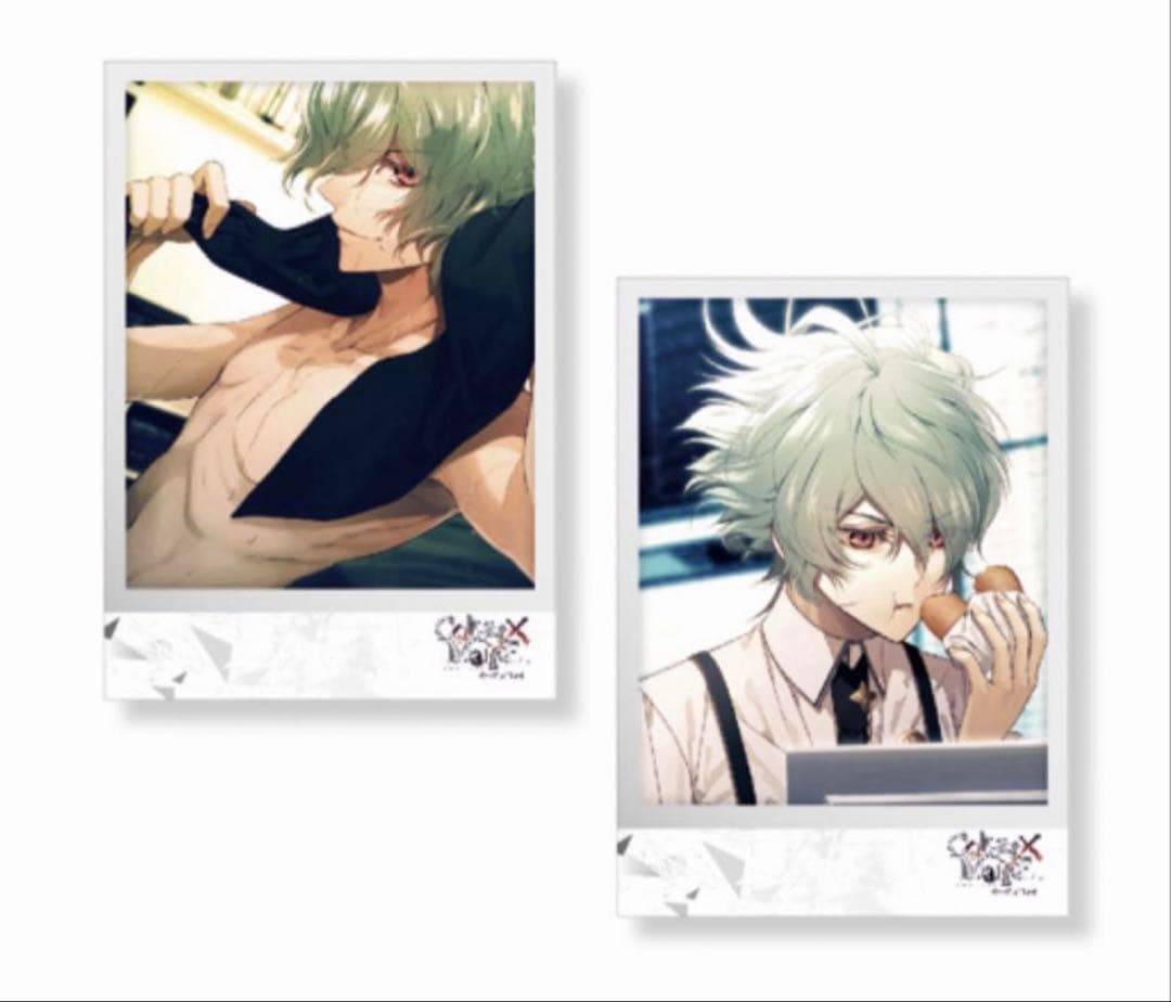 笹塚尊 カード セット