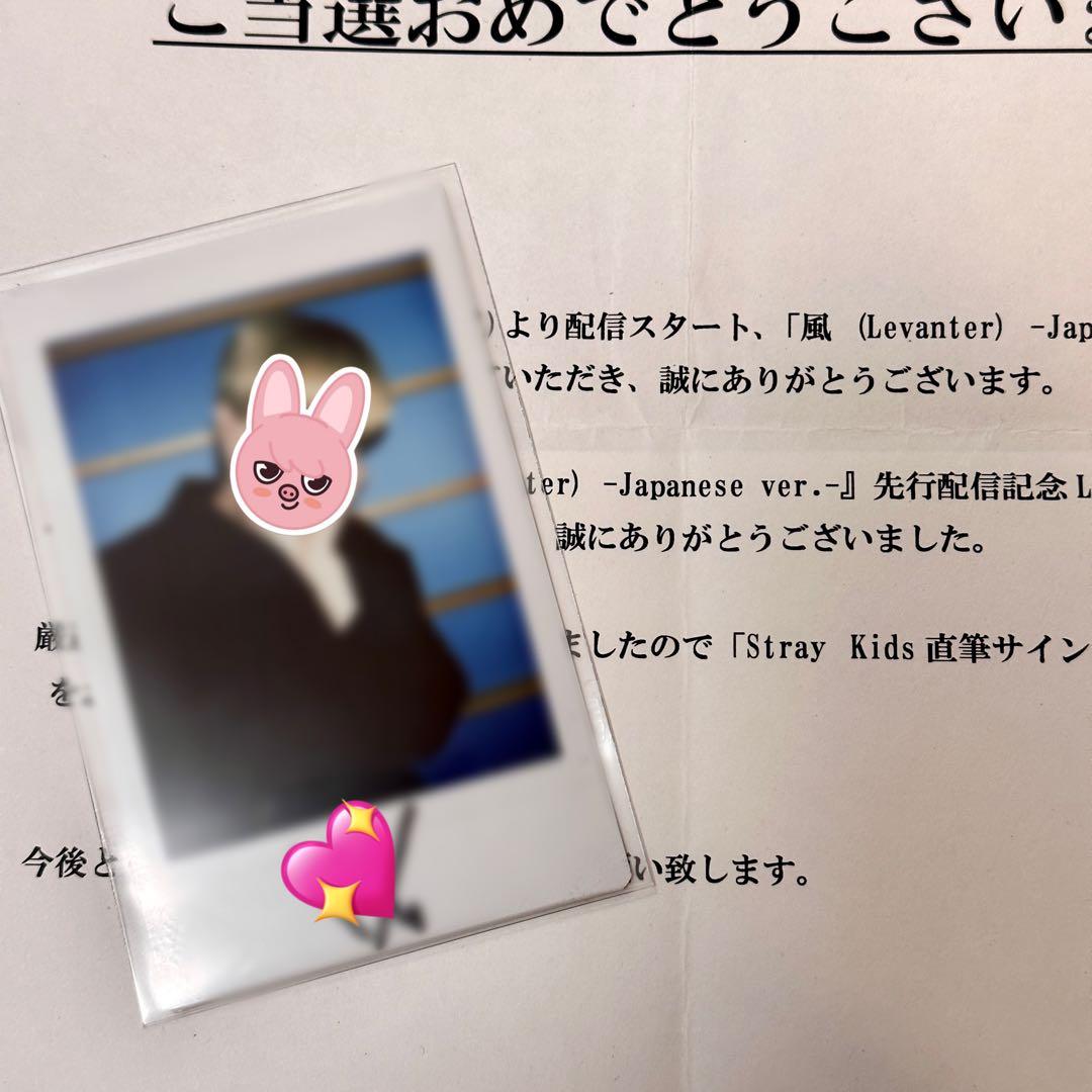 straykids チャンビン ビニ 直筆サイン チェキ 未公開 ポラロイド