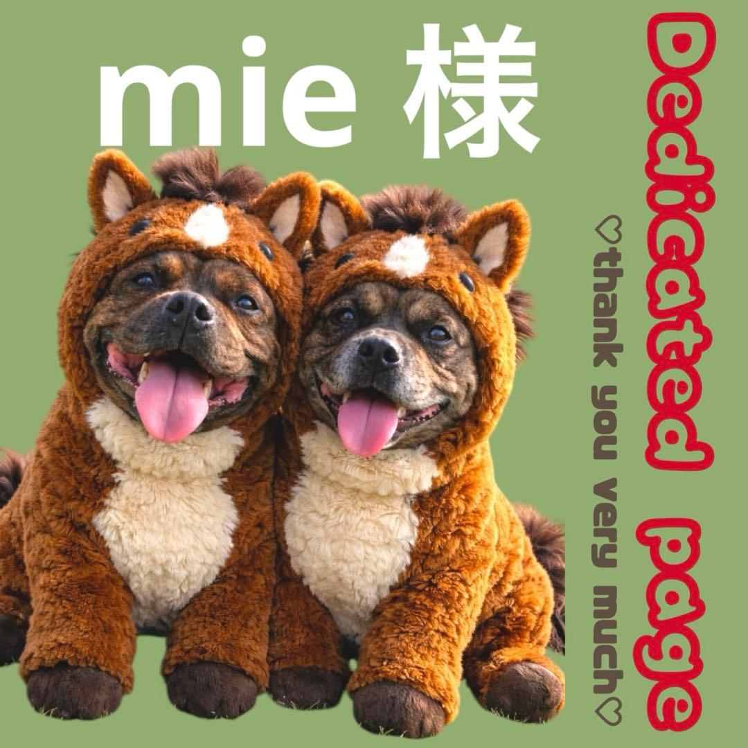 その他 mie しおさん専用① みつさん専用 みつさん 専用 みさん専用 mieさん