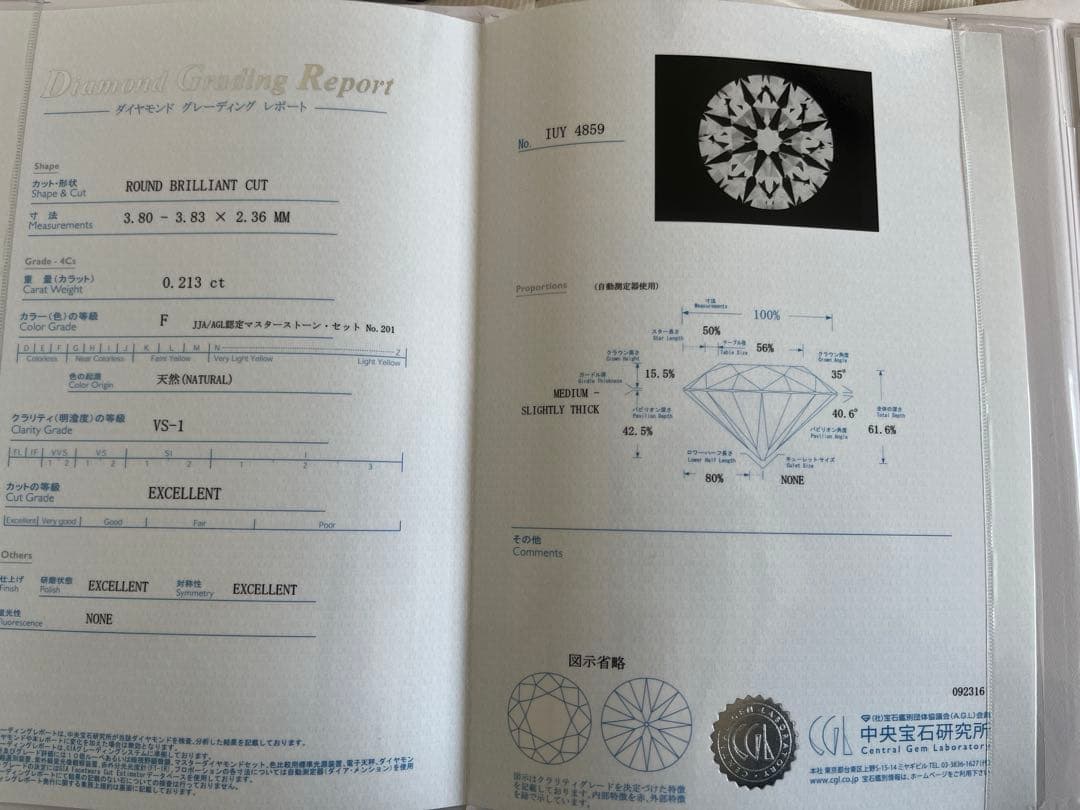 ビジュピコ　ポルターダ　ダイヤモンドリング　5号
