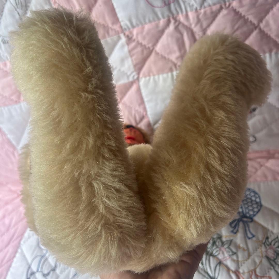 アイルランドPEDIGN社アンティークテディベア