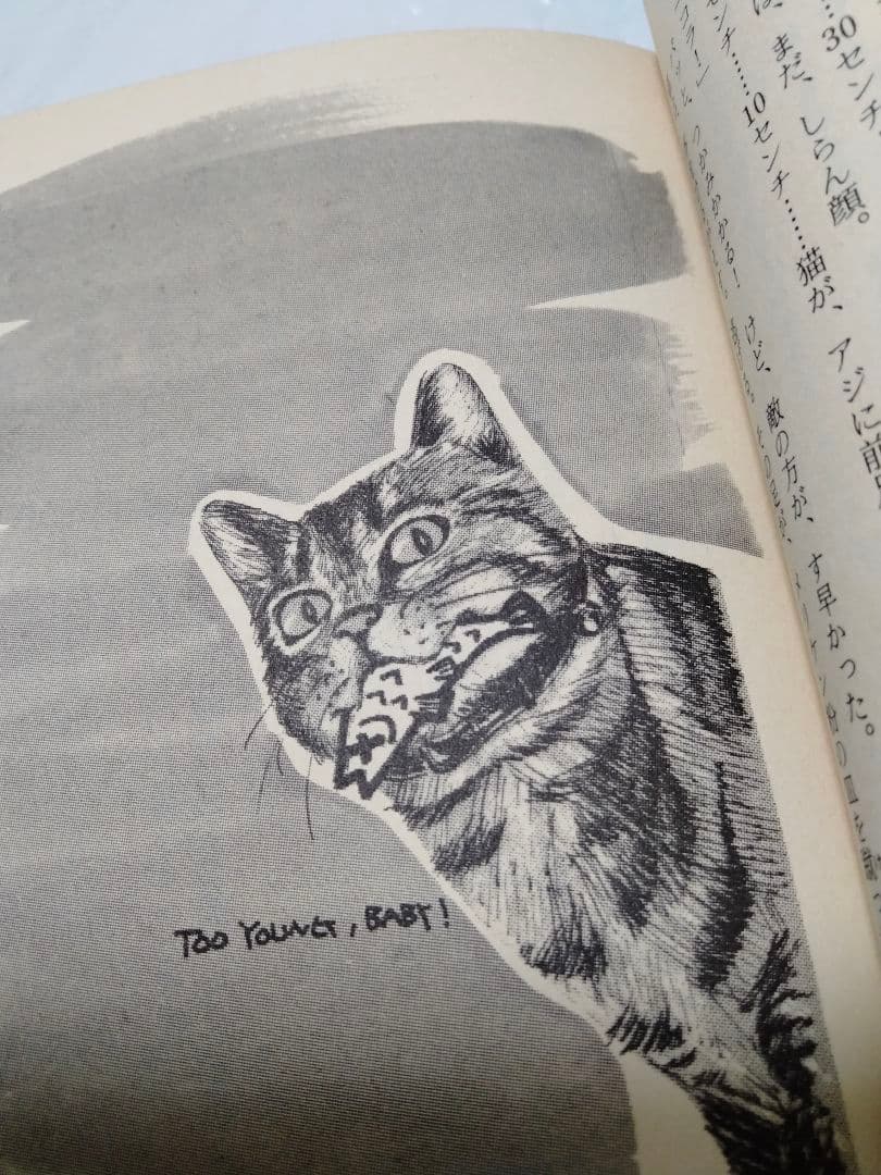 天使のアッパーカット上下 喜多嶋隆 吉田まゆみ 暴力学園 復讐パンチ