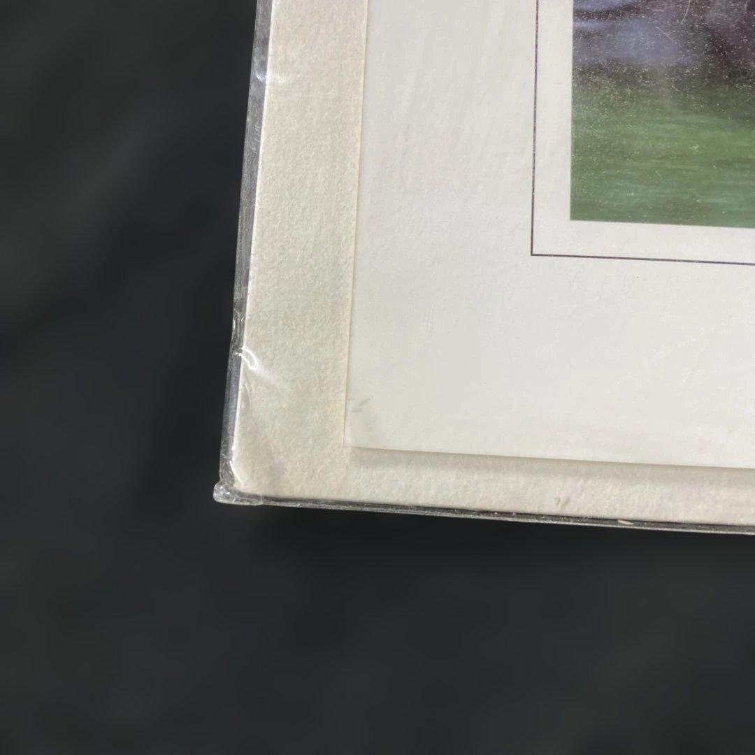 競馬】ステイゴールド（香港ヴァーズ）デジタルフォト／久保吉輝／JRA