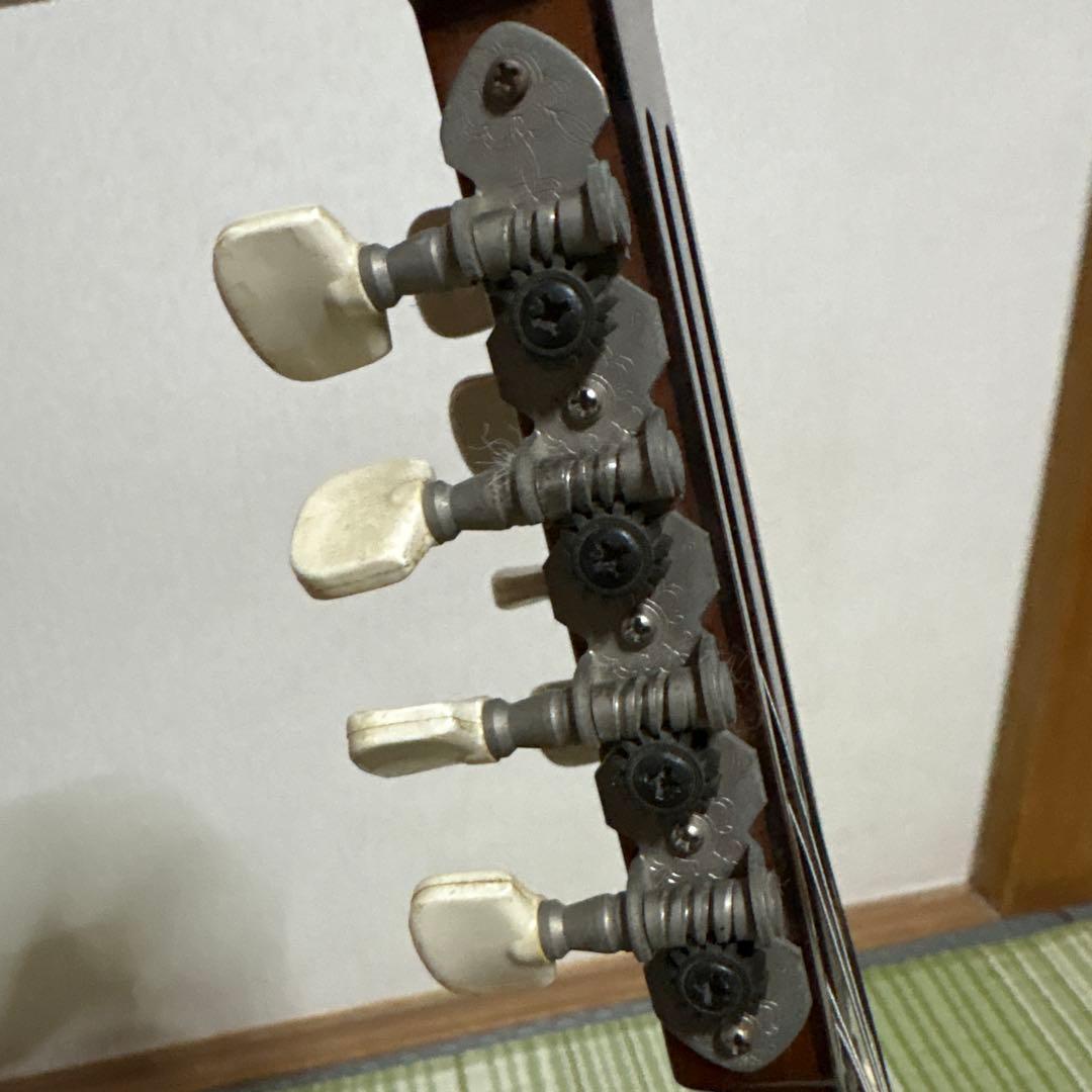 Raffaele 寺田楽器製 ハイエンド マンドリン RM-3 弦 ギターの通販はau