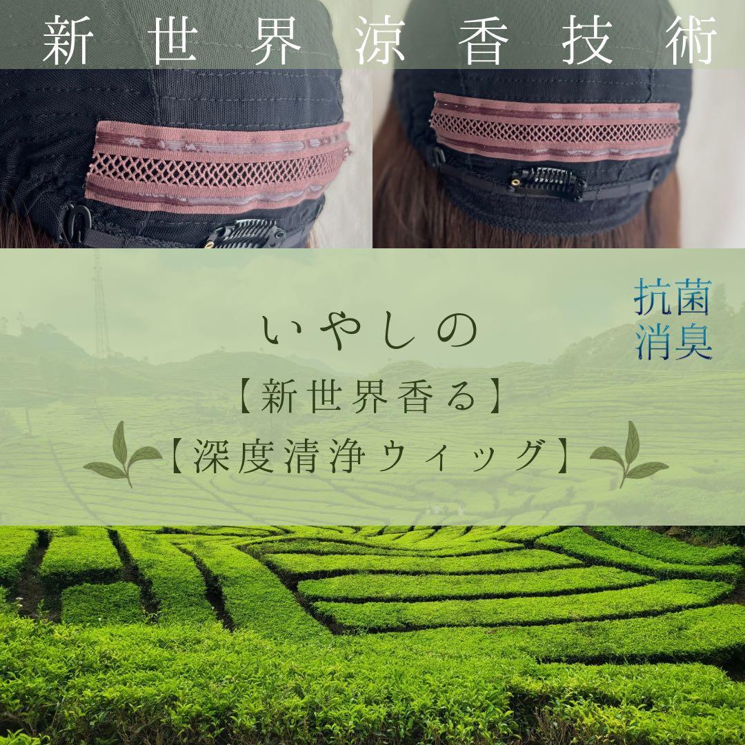 真・新健康シリーズ2025新世界人毛100%ウィッグMシルクスキン　医療ウィッグ