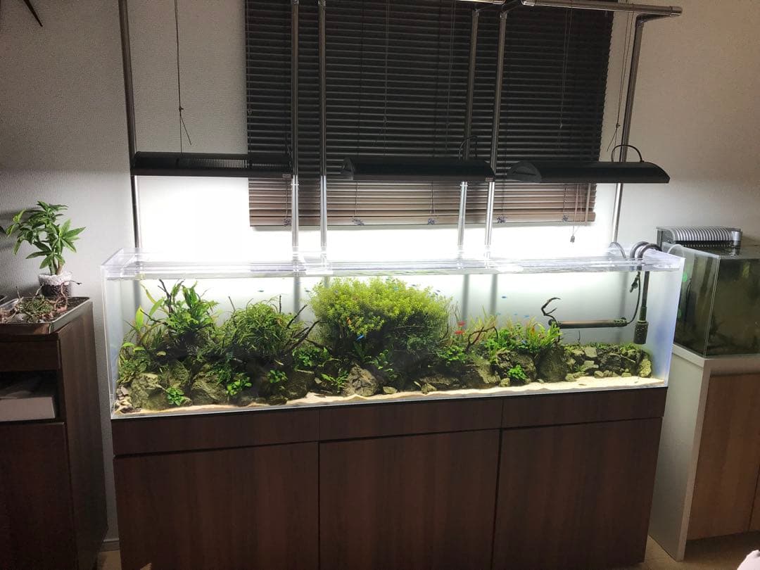 ひわ様専用 大型アクリル水槽 横1800x高さ450x奥行き300mm 水槽のみ