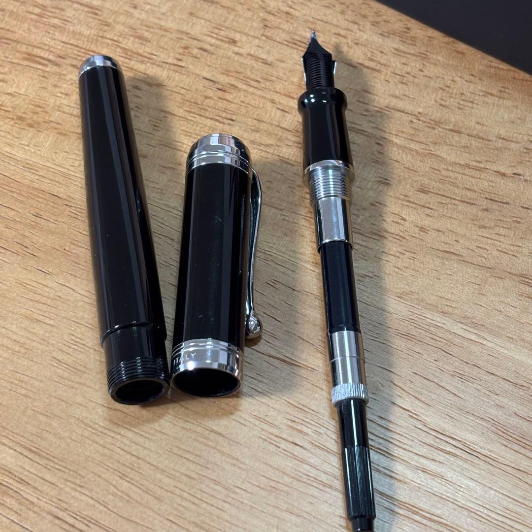 AURORA アウロラ タレンタム 万年筆 ペン先14K 箱入