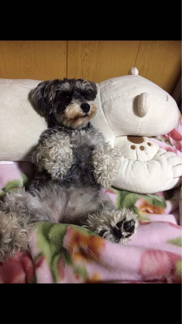 miniさま  確認用　その②