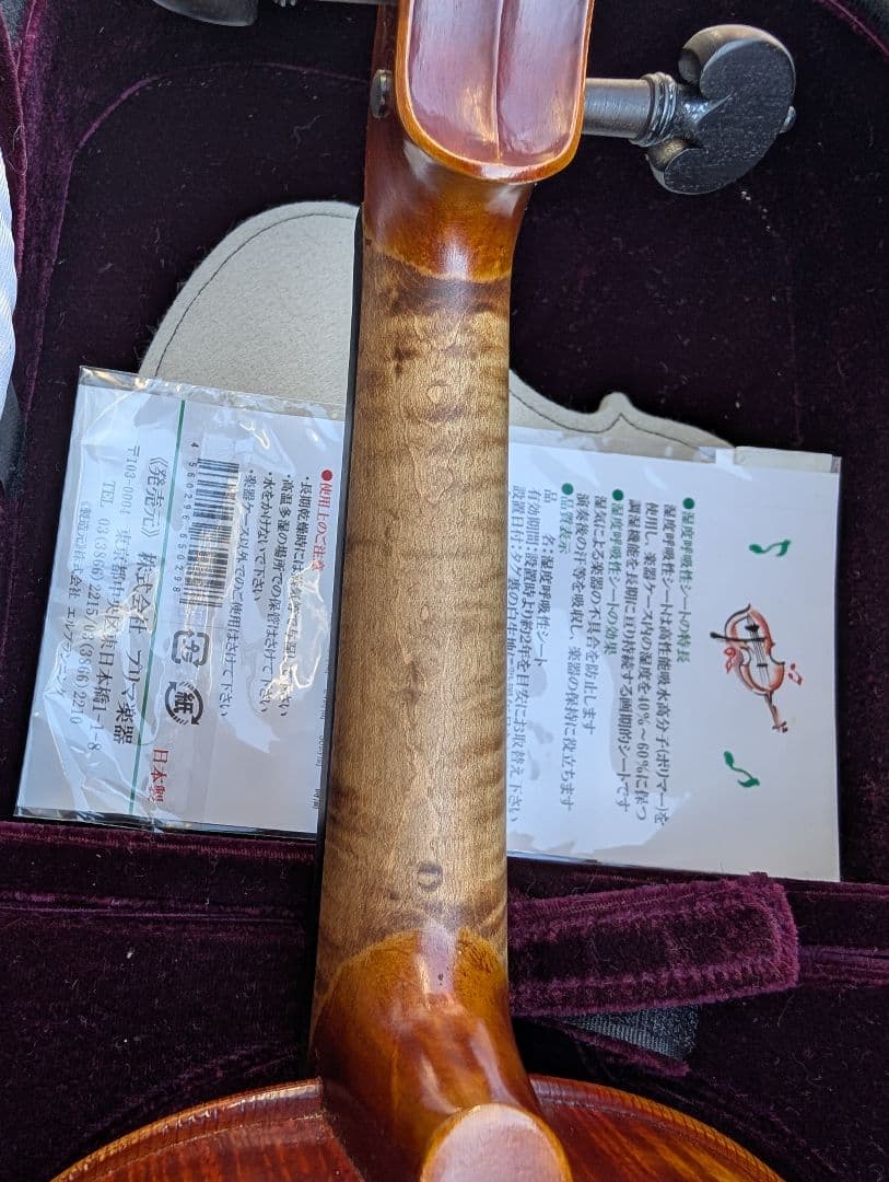 【特価】エレキバイオリン　David Gage　The Realist　RV4