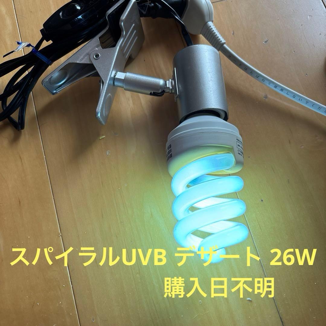 爬虫類愛好者、初心者必見！】ソケットとライトのセット 値引き交渉可