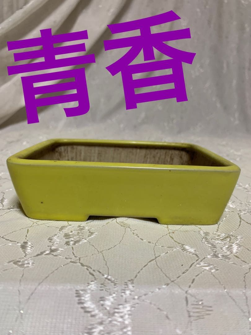 青香　長方　盆栽鉢 楽天市場】【中古】 盆栽鉢 青香 小型 長辺 約 11.8cm 長方鉢 釉薬