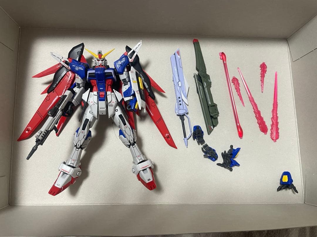 rg デスティニーガンダム完成品