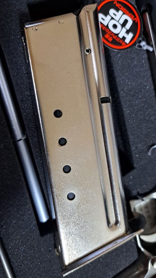 BIOHAZARD 2 10インチカスタム